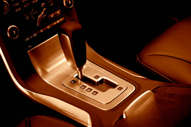 Luxury Car Showroom